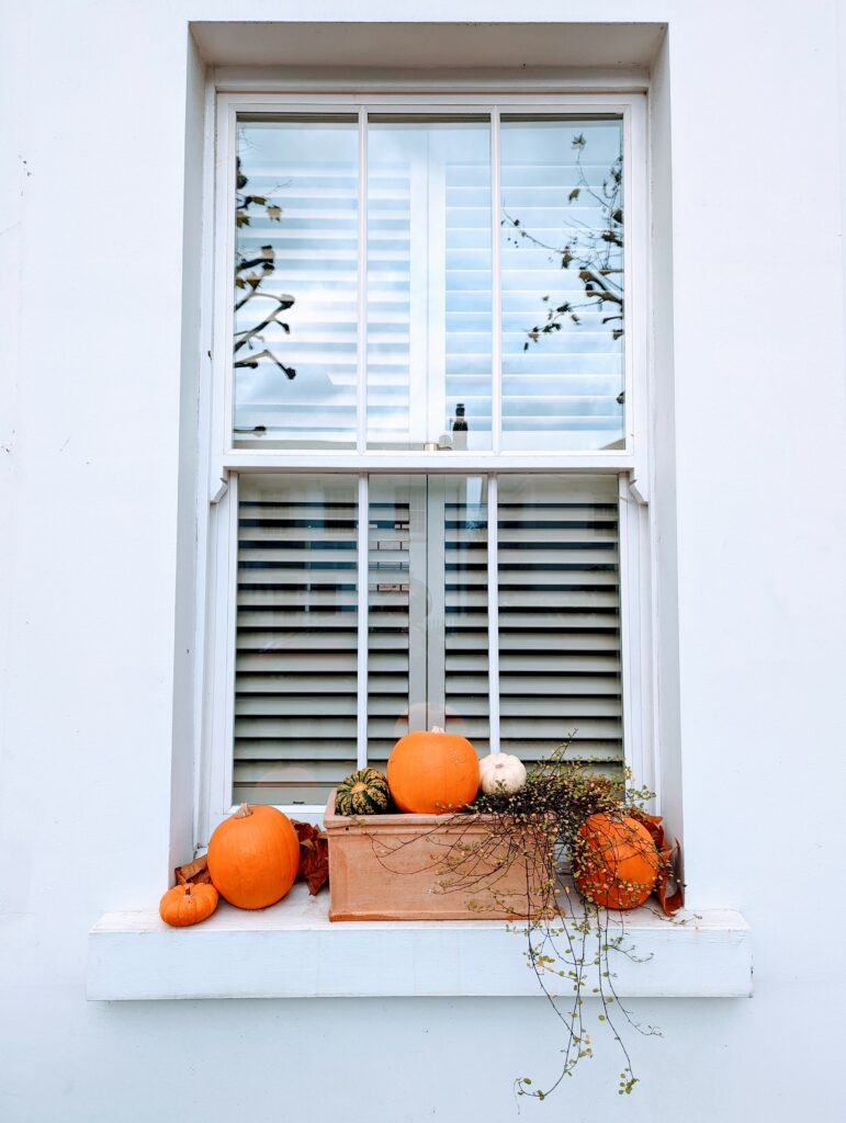 Orange pumpkins and gourds arranged on a white windowsill against a window with white shutters reflecting bare autumn trees.