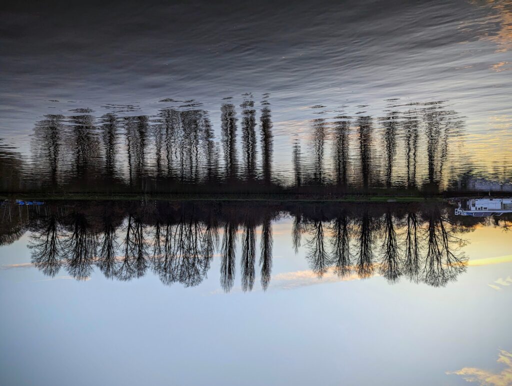 Inverted view of bare trees on a riverbank, their reflection rippling in the water at the top of the frame under a pale winter sky.