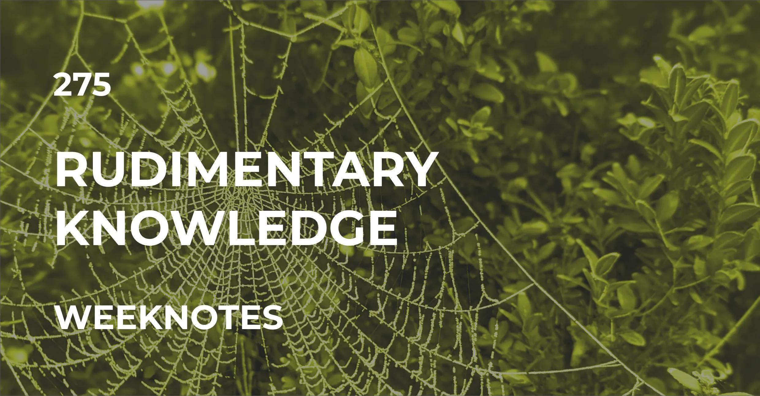 Rudimentary Knowledge