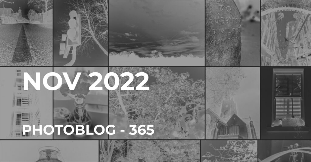 Nov 2022 | Photo 365