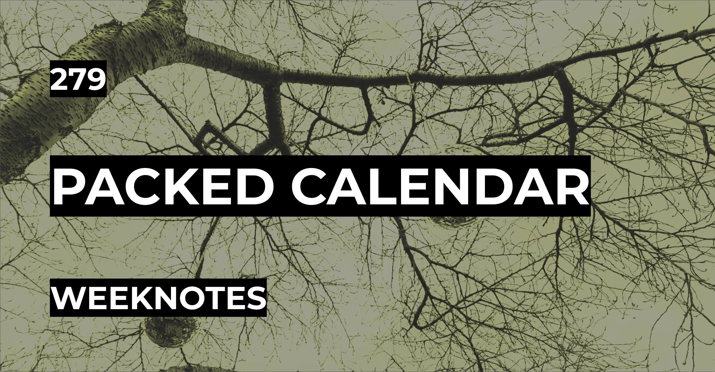 Packed Calendar