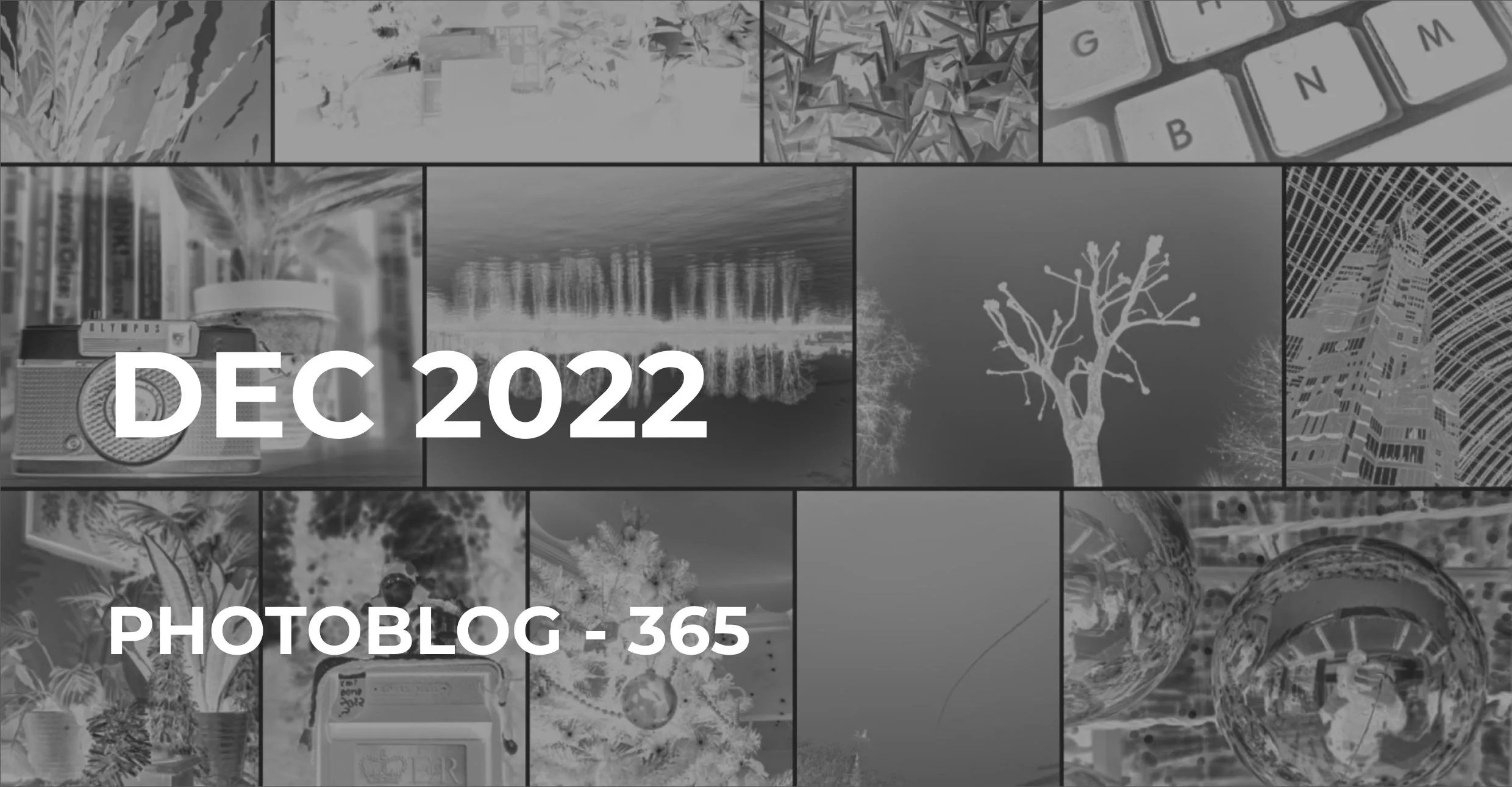 Dec 2022 | Photo 365