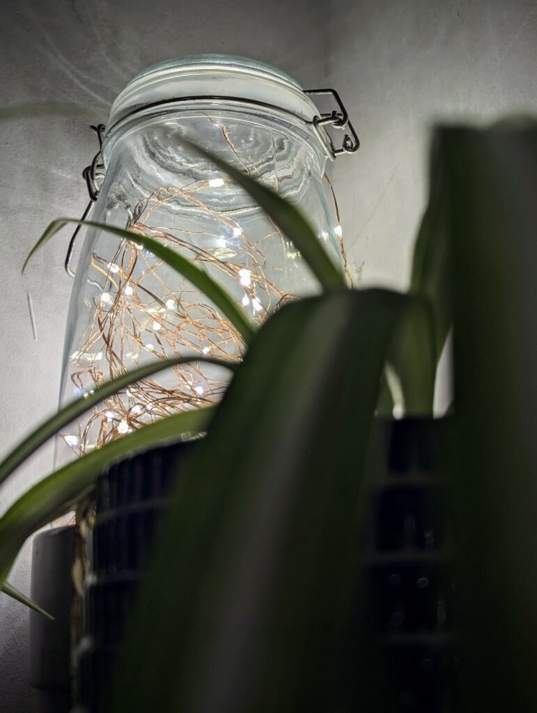 Warm fairy lights glowing inside a glass jar, partially obscured by the long leaves of a spider plant in the foreground.