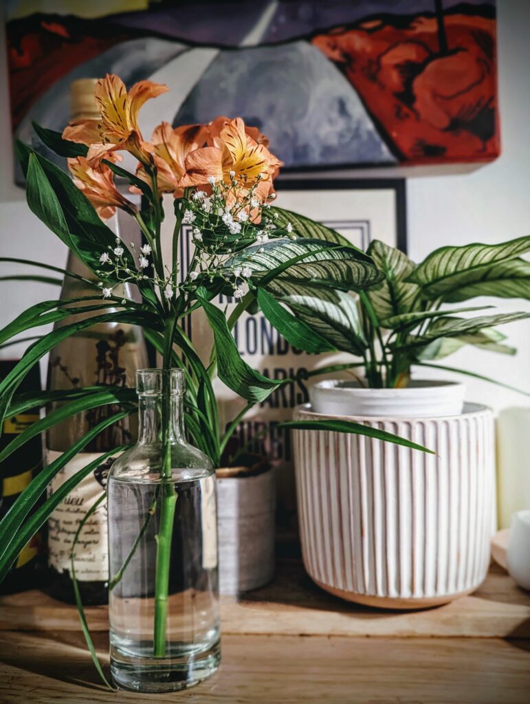 Orange alstroemeria and baby's breath in a glass bottle beside a calathea plant in a ribbed white pot on a wooden surface.