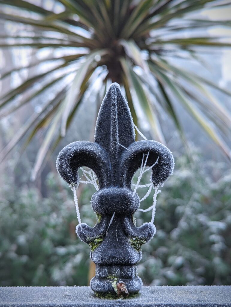 A black fleur-de-lis fence finial covered in thick frost and frozen spiderwebs against a blurred winter garden backdrop.