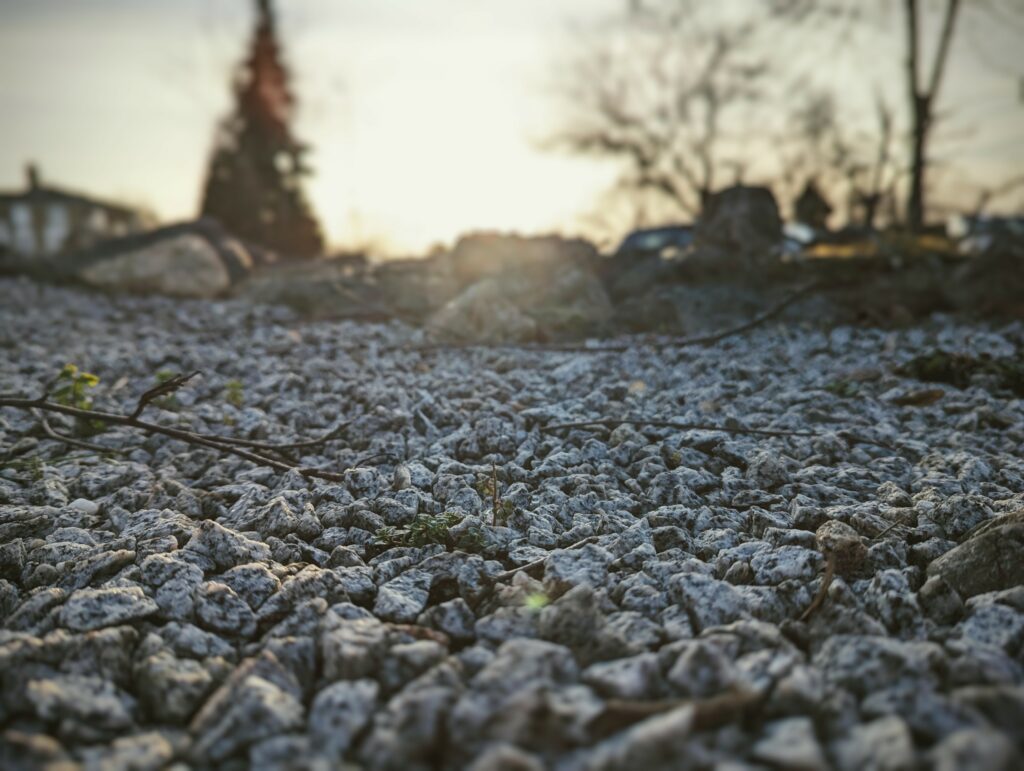 Close-up of grey gravel and thin twigs under a hazy golden sunset with silhouetted trees in the blurred background.