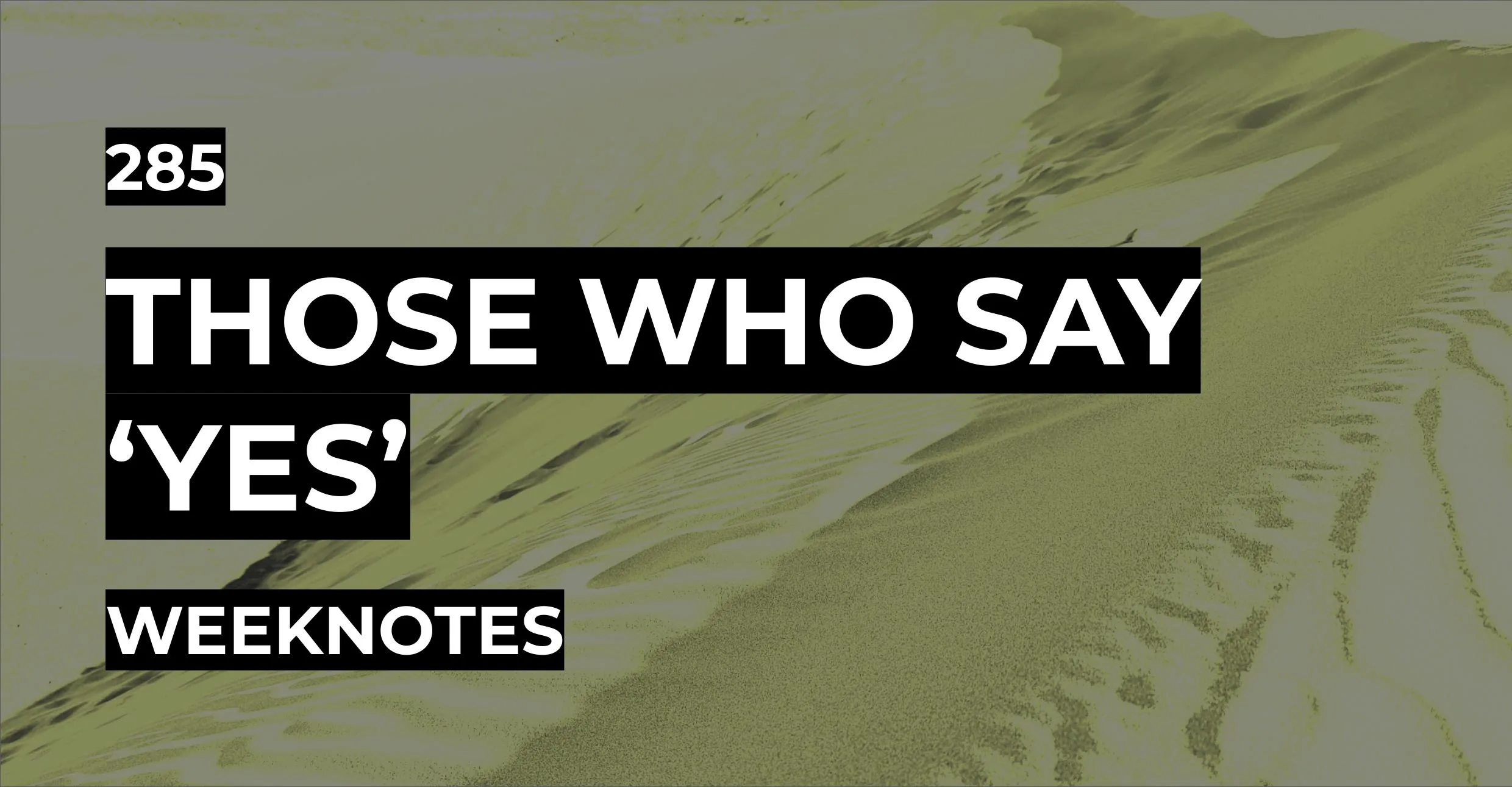 Those who say ‘Yes’