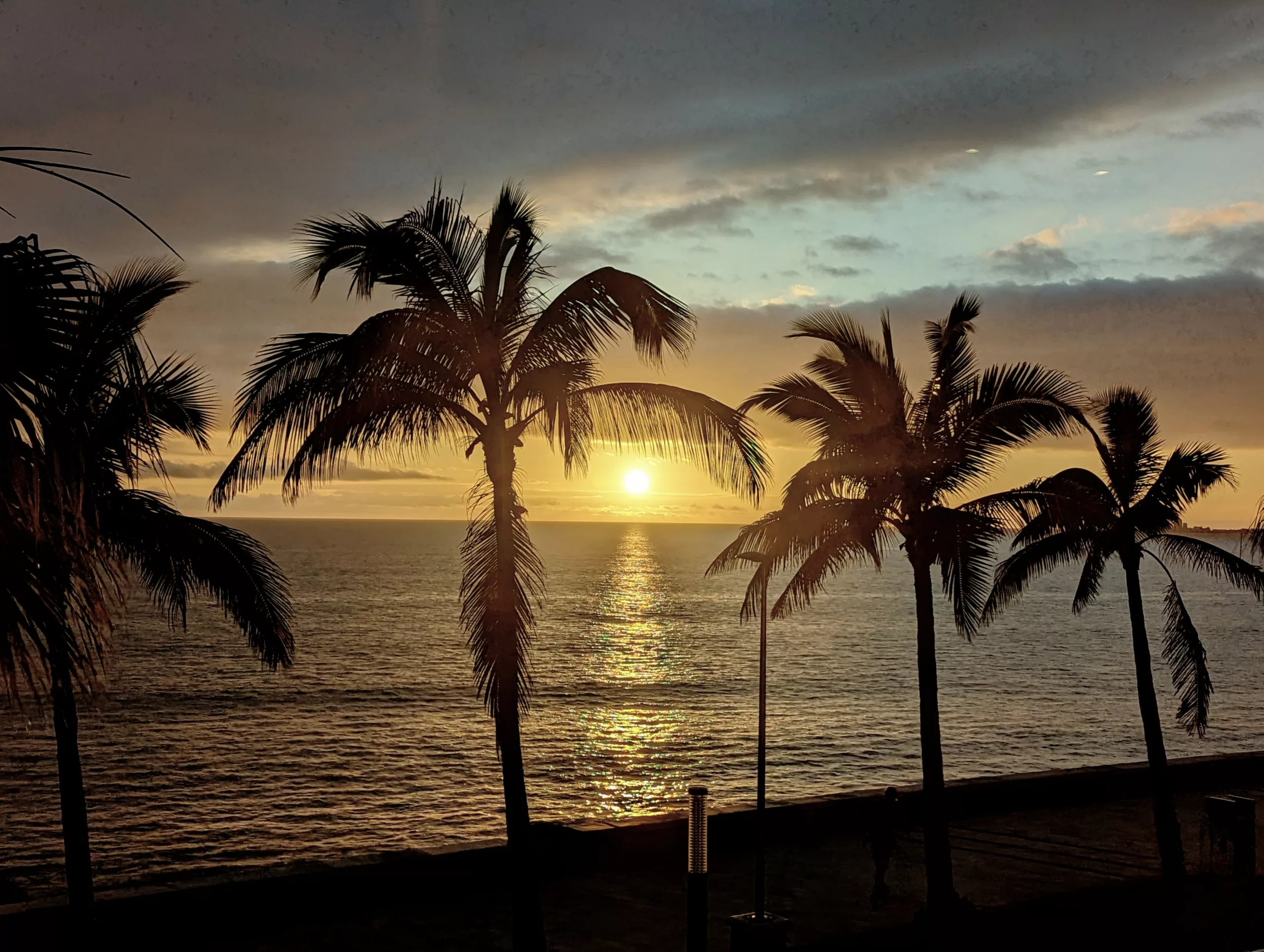 Silhouetted palm trees against a golden sunset over the ocean, with the sun reflecting on the water under a cloudy sky.