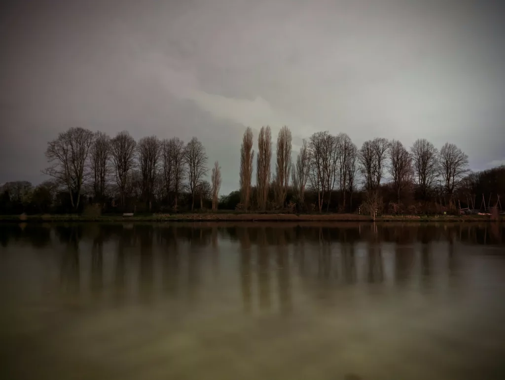 Bare trees, including three tall poplars, reflected in smooth, dark water under a gloomy overcast night sky.