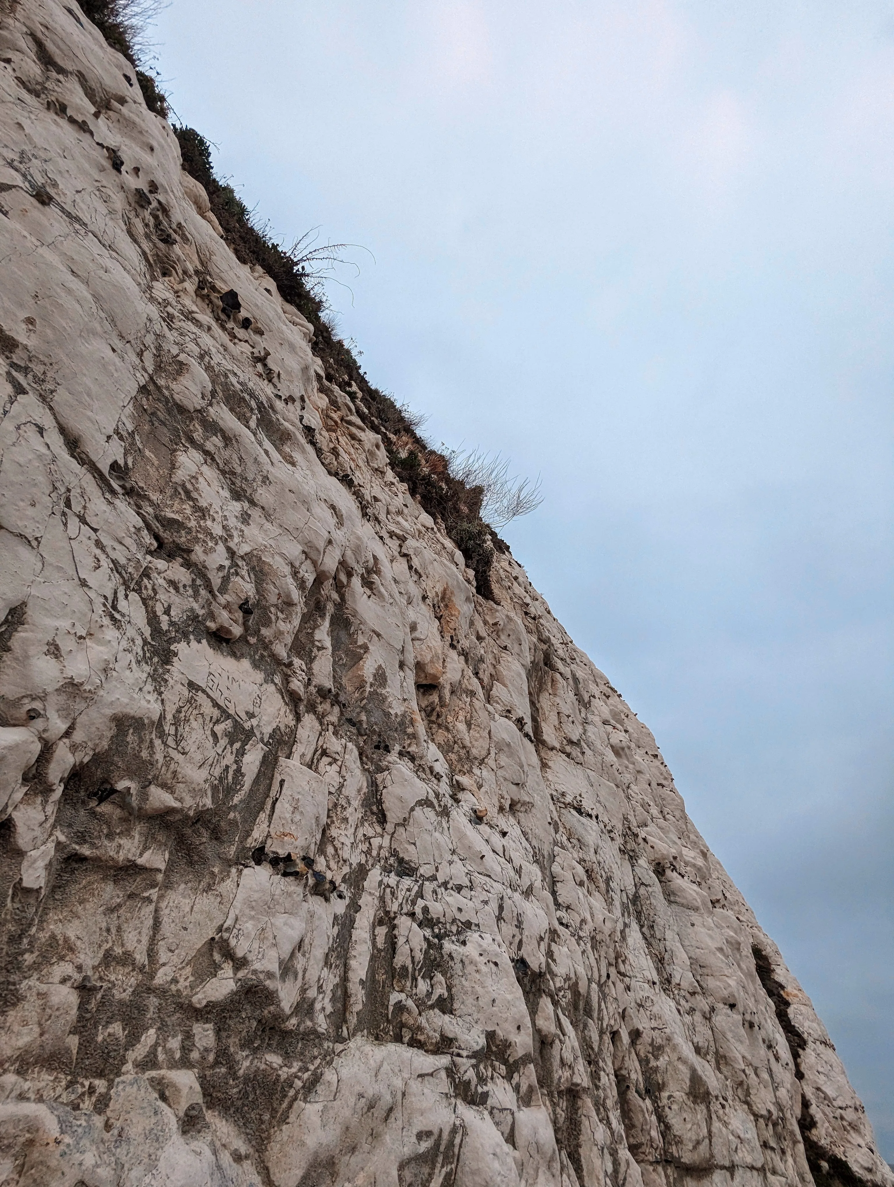 Looking up at a sheer white chalk cliff face with deep horizontal textures and sparse vegetation against a pale overcast sky.