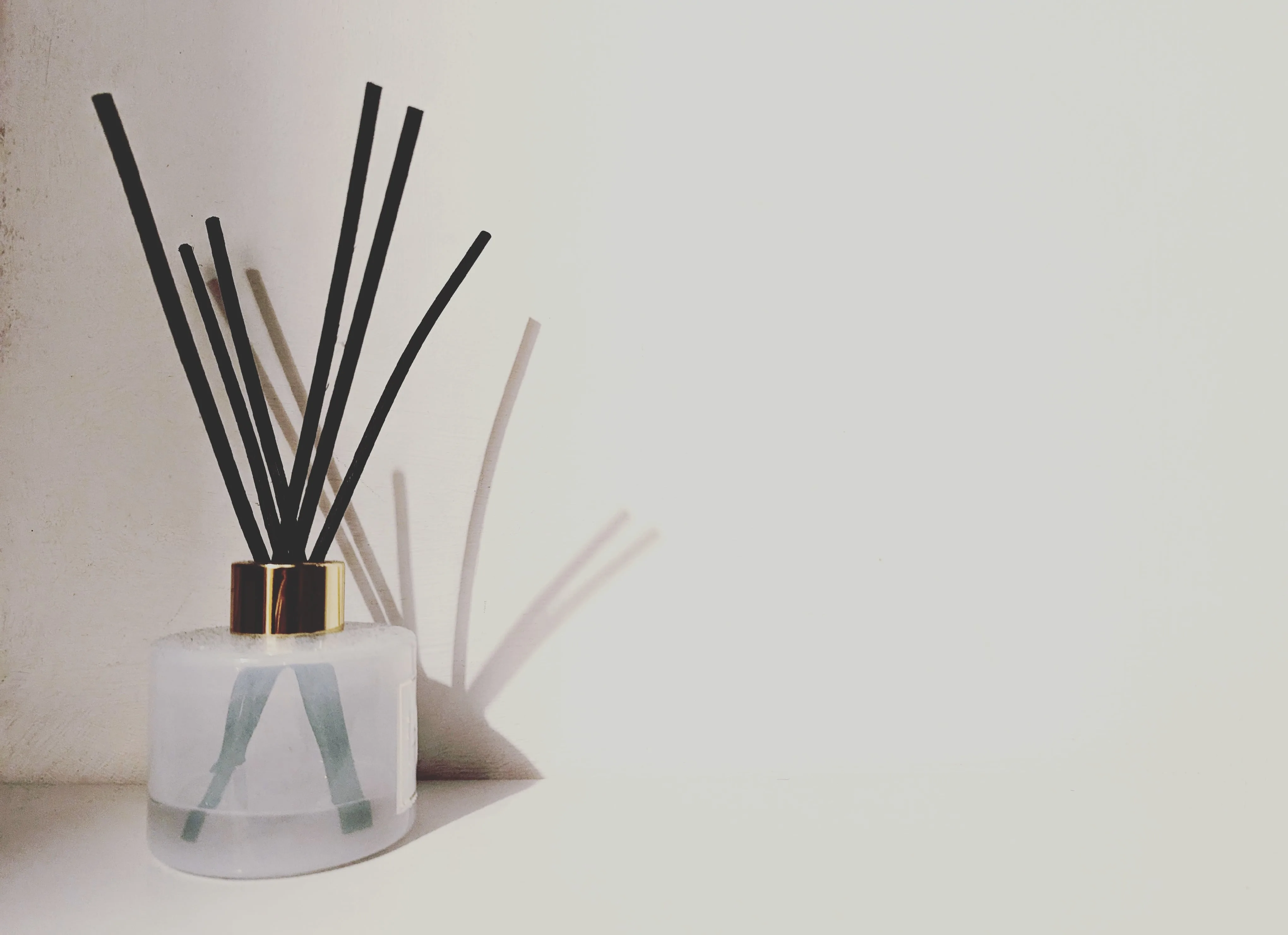 Minimalist reed diffuser with a frosted glass base and black reeds casting long shadows against a white wall.