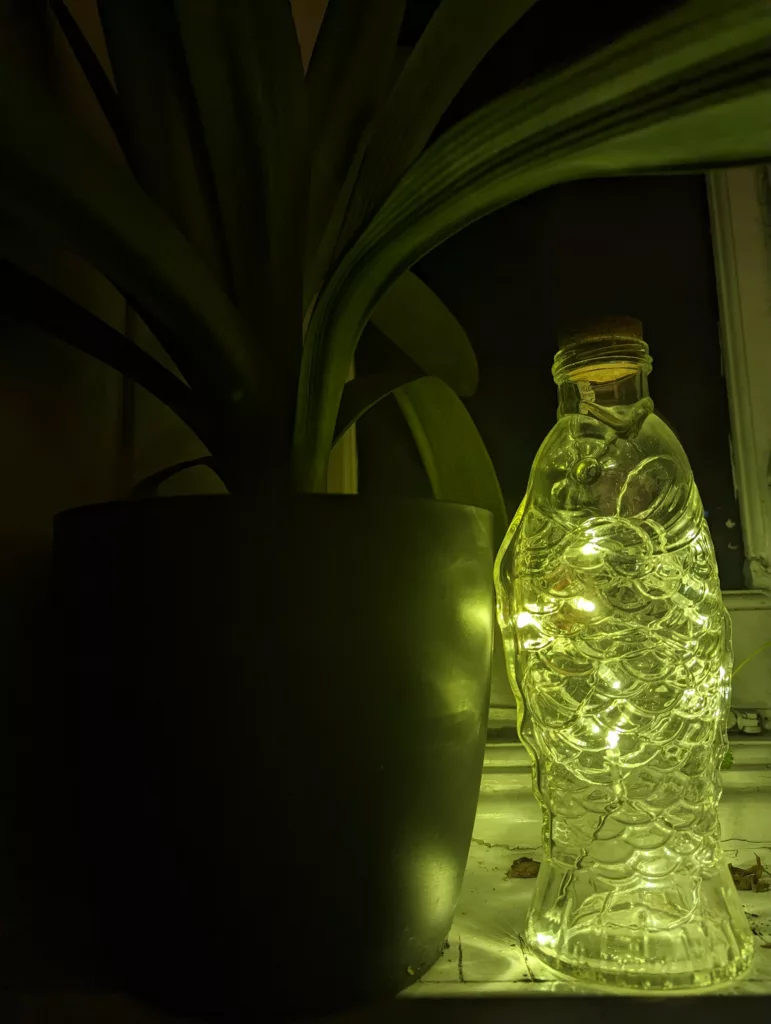 A fish-shaped glass bottle filled with fairy lights casting a green glow on a large potted plant in a dark room.