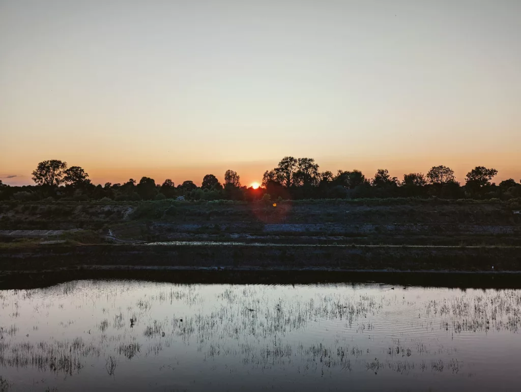 Sunset over a terraced bank and silhouetted trees, with the orange sun reflecting in a calm, reed-filled body of water.