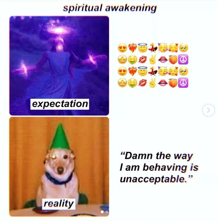 Meme titled spiritual awakening. Expectation: woman glowing with purple cosmic energy. Reality: dog in a party hat. Text: Damn the way I am behaving is unacceptable.