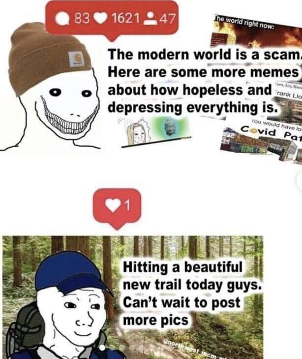 Featured image for Disaster vs Nature - a meme contrasting high engagement on nihilistic content about the world being a scam with low engagement on a post about hiking.
