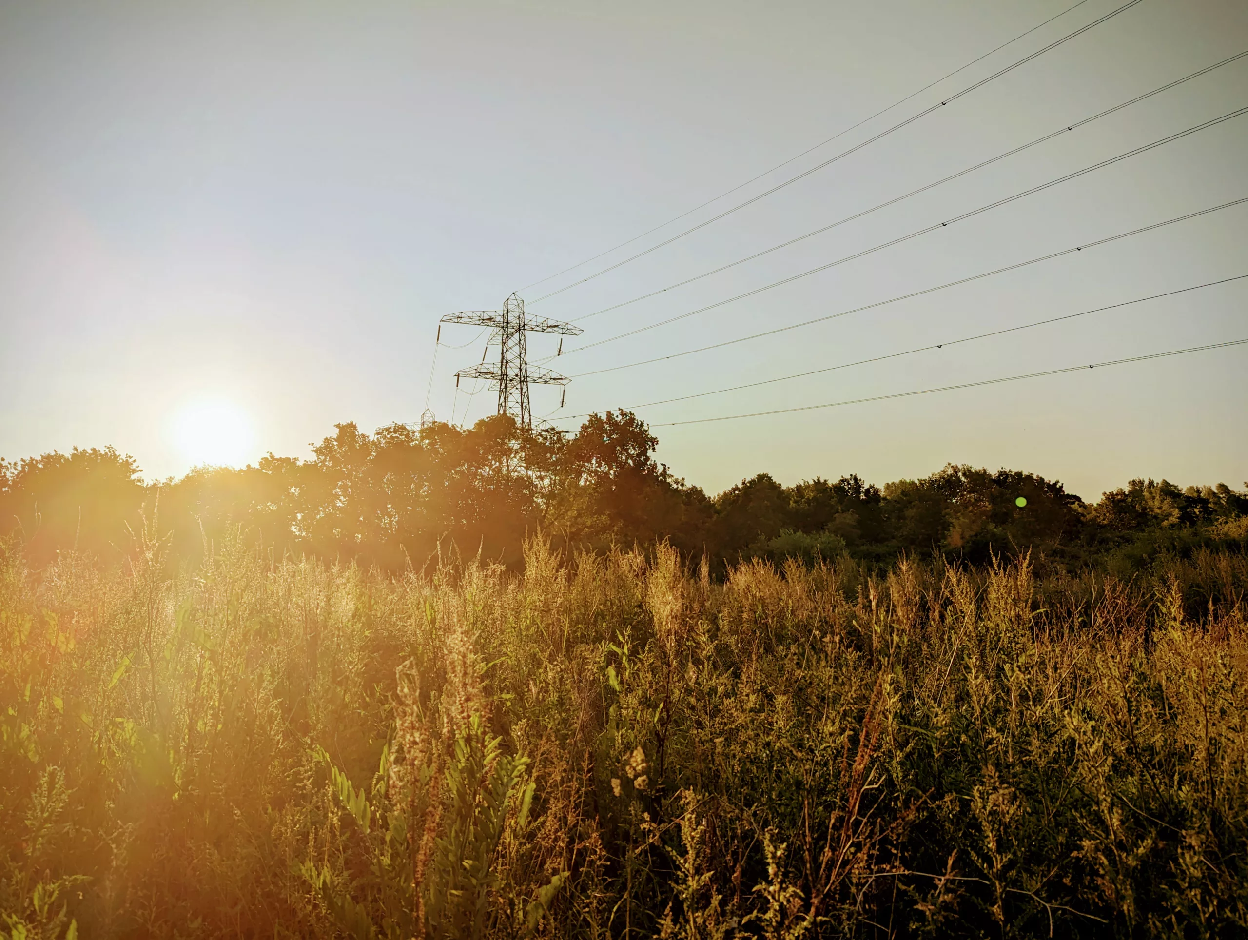 Golden sunset light glowing through a field of tall wild grass toward a power pylon and overhead lines against a clear sky.