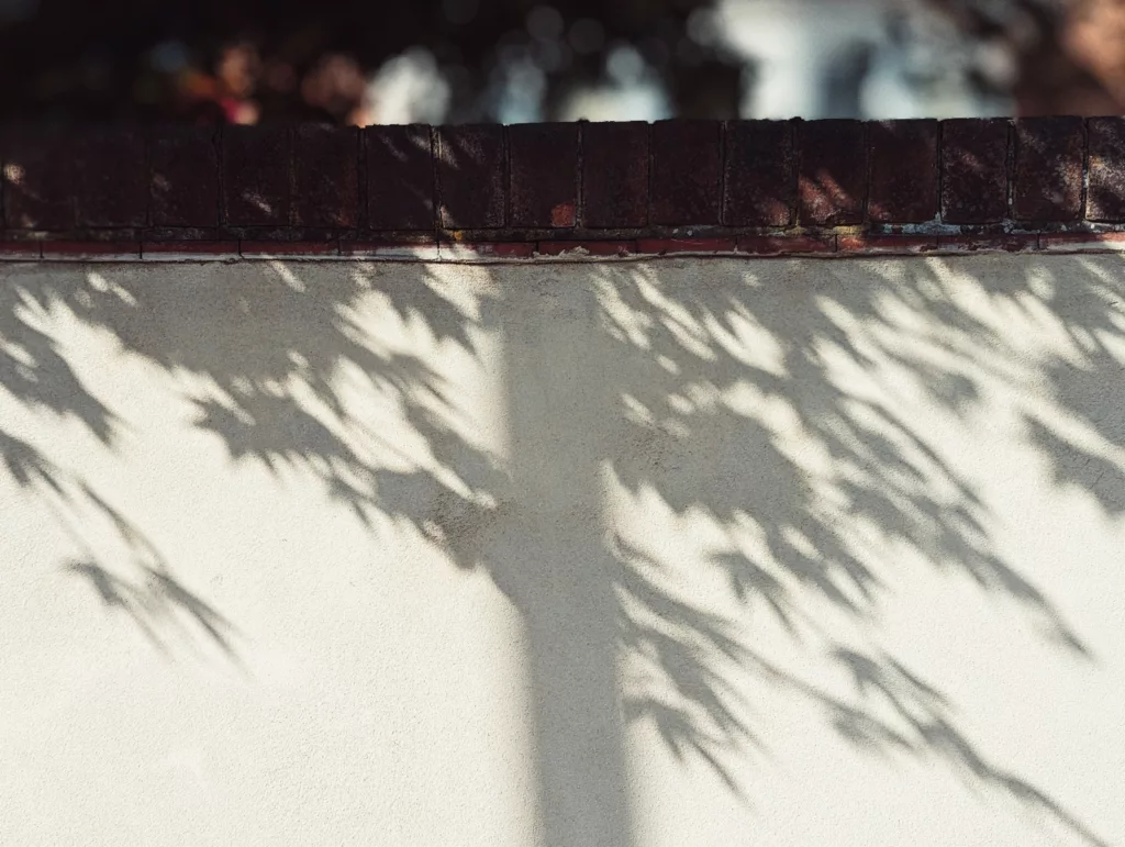 Shadows of tree leaves and branches dappled across a cream-colored plastered wall topped with dark bricks.
