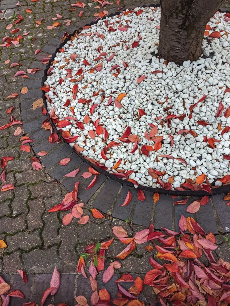Vibrant red and orange autumn leaves scattered across white decorative pebbles and grey brick paving around the base of a tree trunk.