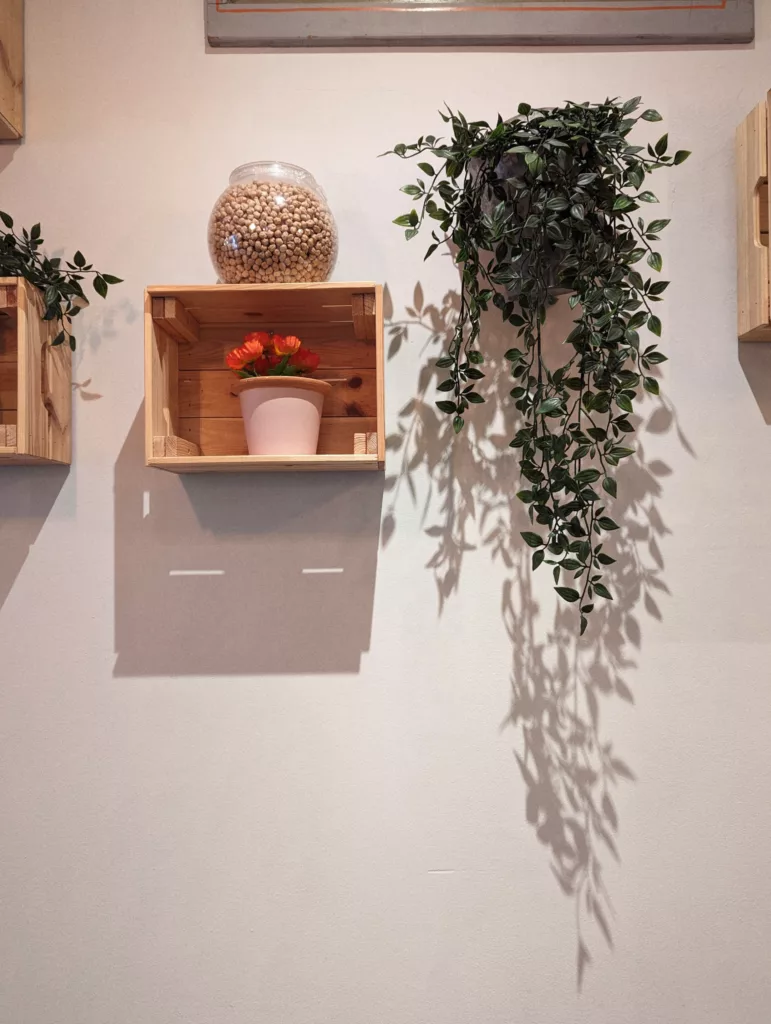 Orange flowers in a pink pot inside a wooden crate shelf below a jar of chickpeas. A trailing green plant hangs nearby, casting long wall shadows.