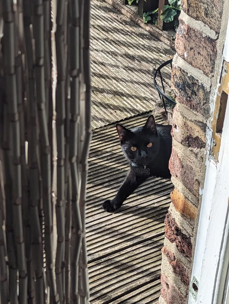 A black cat with bright orange eyes peeks from behind a brick wall onto a sunlit wooden deck, framed by a beaded curtain.
