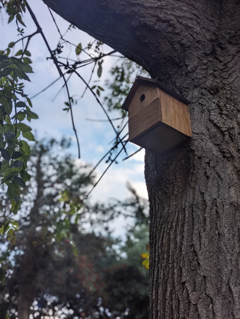 A wooden birdhouse mounted high on a textured tree trunk against a backdrop of leafy branches and a soft blue sky.