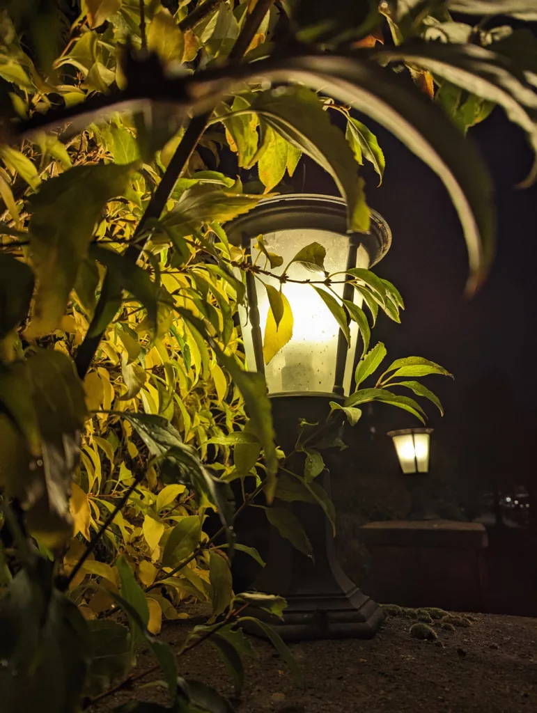 A glowing garden lantern at night, partially obscured by yellow and green leaves, with another light in the blurred dark background.
