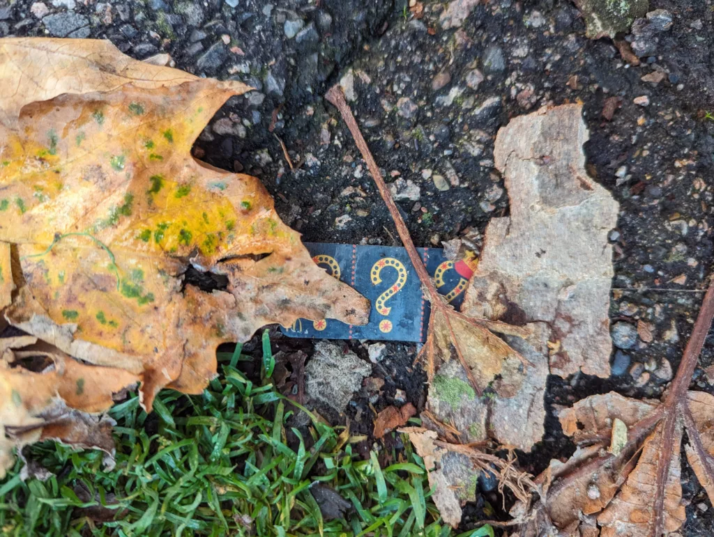 A black playing card with gold question marks peeks out from under a dry yellow sycamore leaf on damp asphalt beside green grass.