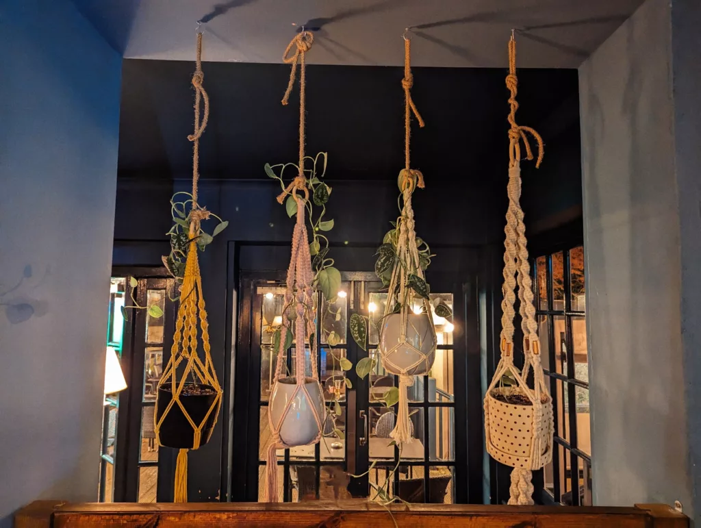 Four trailing plants in yellow, pink, white and cream macrame hangers suspended from a ceiling against dark blue walls and glass doors.