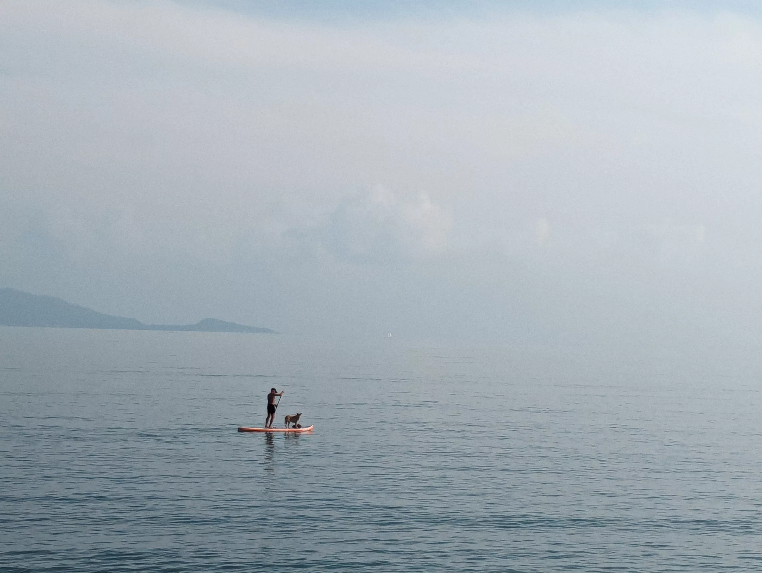 A person paddleboarding with a dog on a vast, calm sea under a hazy, overcast sky with distant hills.