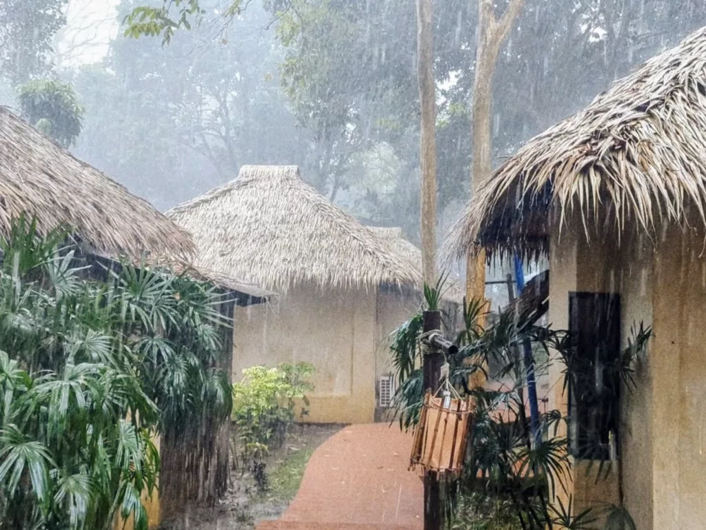 Heavy rain falling on thatched-roof bungalows along a path through lush tropical greenery.