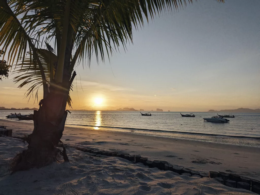 Golden sunset over a tropical beach with a palm tree in the foreground and longtail boats moored on calm water.