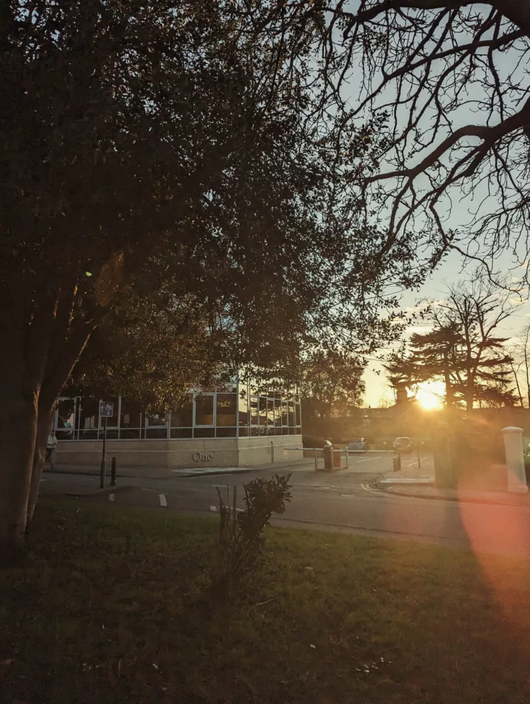 Sunset flares over a glass building with the word One on its wall, framed by dark tree silhouettes and branches against a clear evening sky.