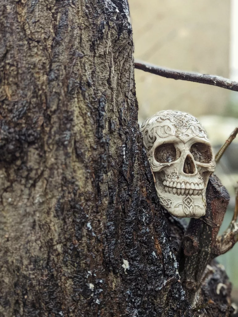 An intricately carved skull with Celtic knot patterns nestled against the rough, dark bark of a tree.