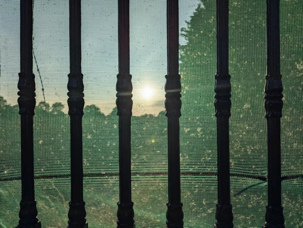Setting sun glowing through green mesh netting and dark wooden balcony spindles, overlooking a summer field and distant trees.
