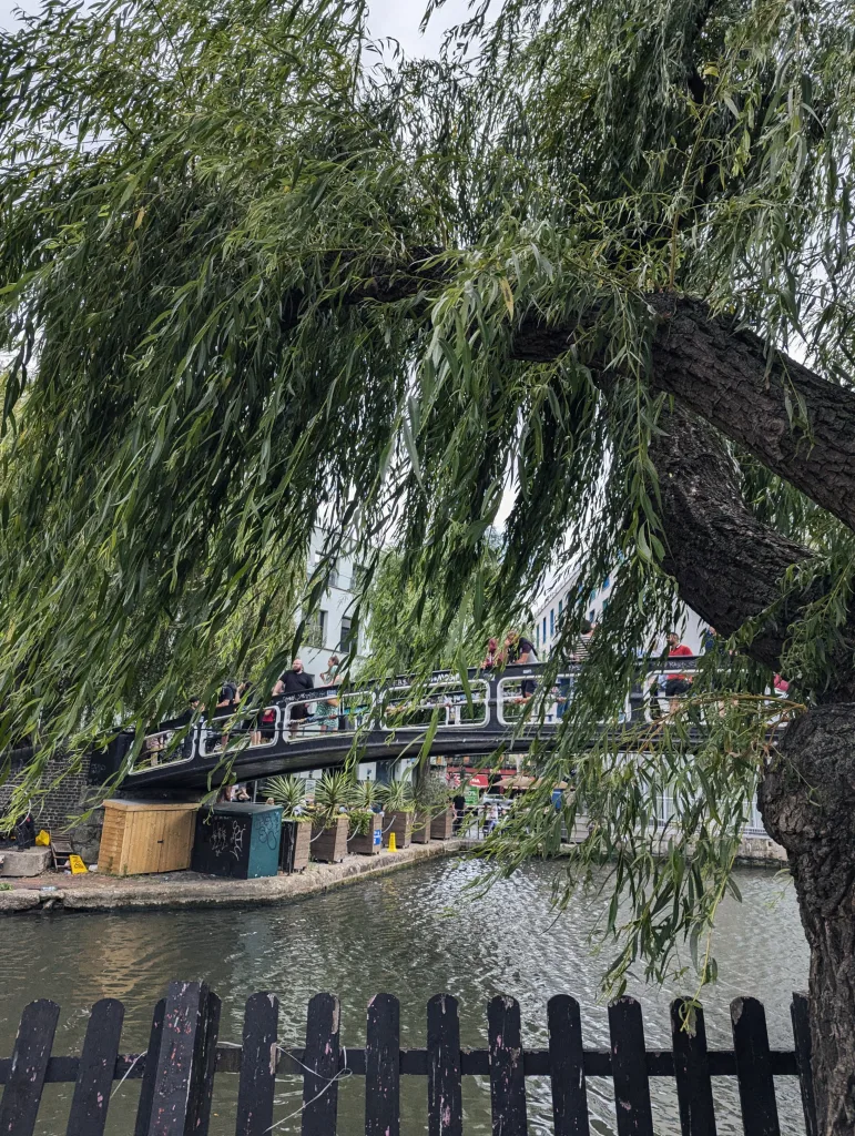 A weeping willow tree frames a view of people on a black pedestrian bridge crossing a canal, seen from behind a dark wooden fence.