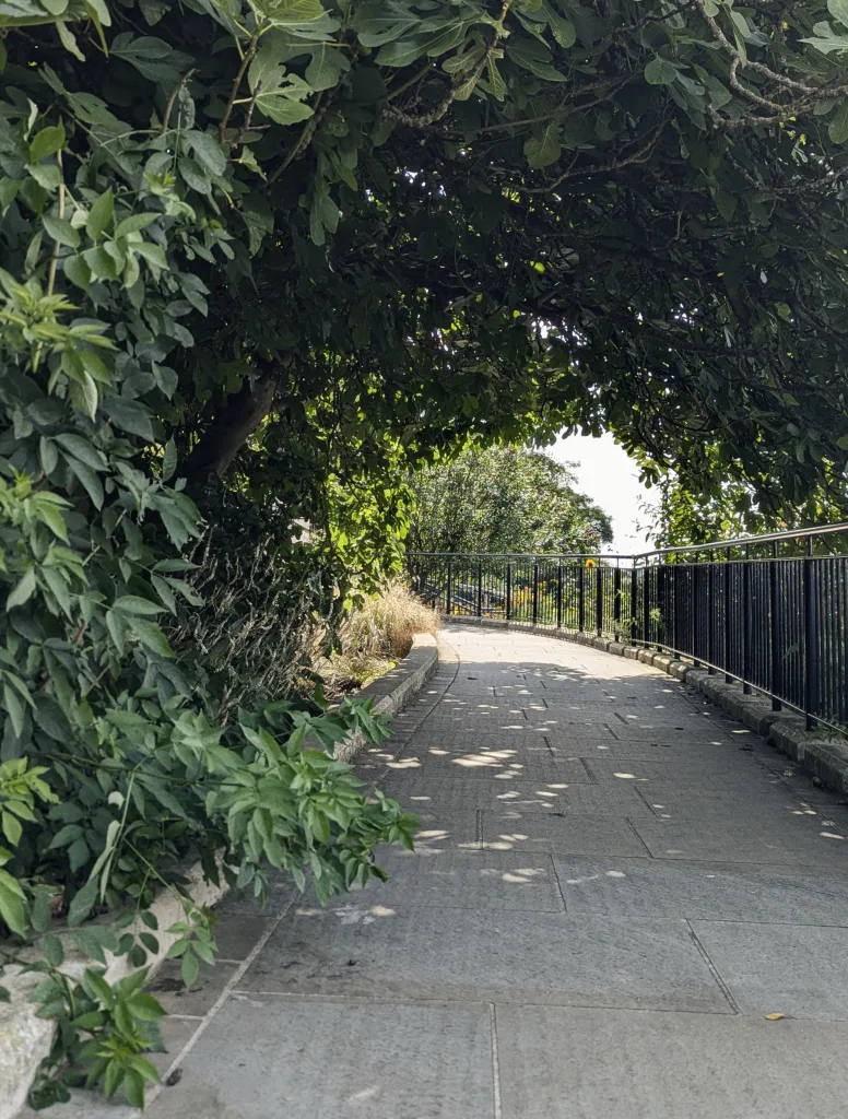 A stone path curves under a dense green canopy of leaves, with dappled sunlight on the ground and a black metal railing on the right.
