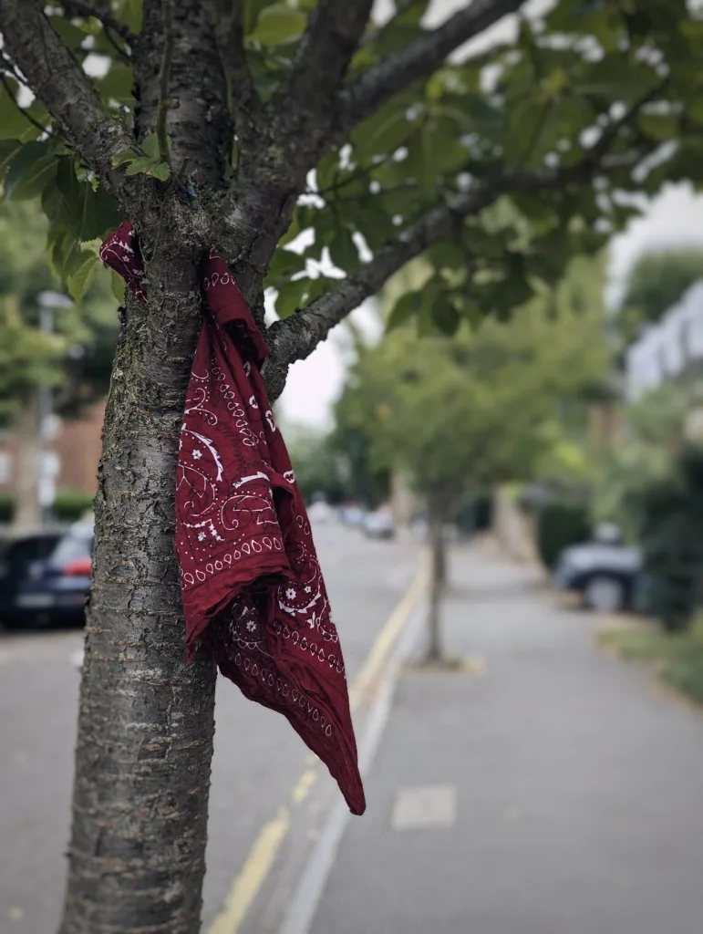 A red paisley bandana draped over a tree branch on a suburban sidewalk with a blurred background of parked cars and houses.