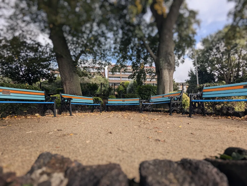 Five blue and orange slatted park benches in a semicircle under large trees on a gravel area with fallen autumn leaves.