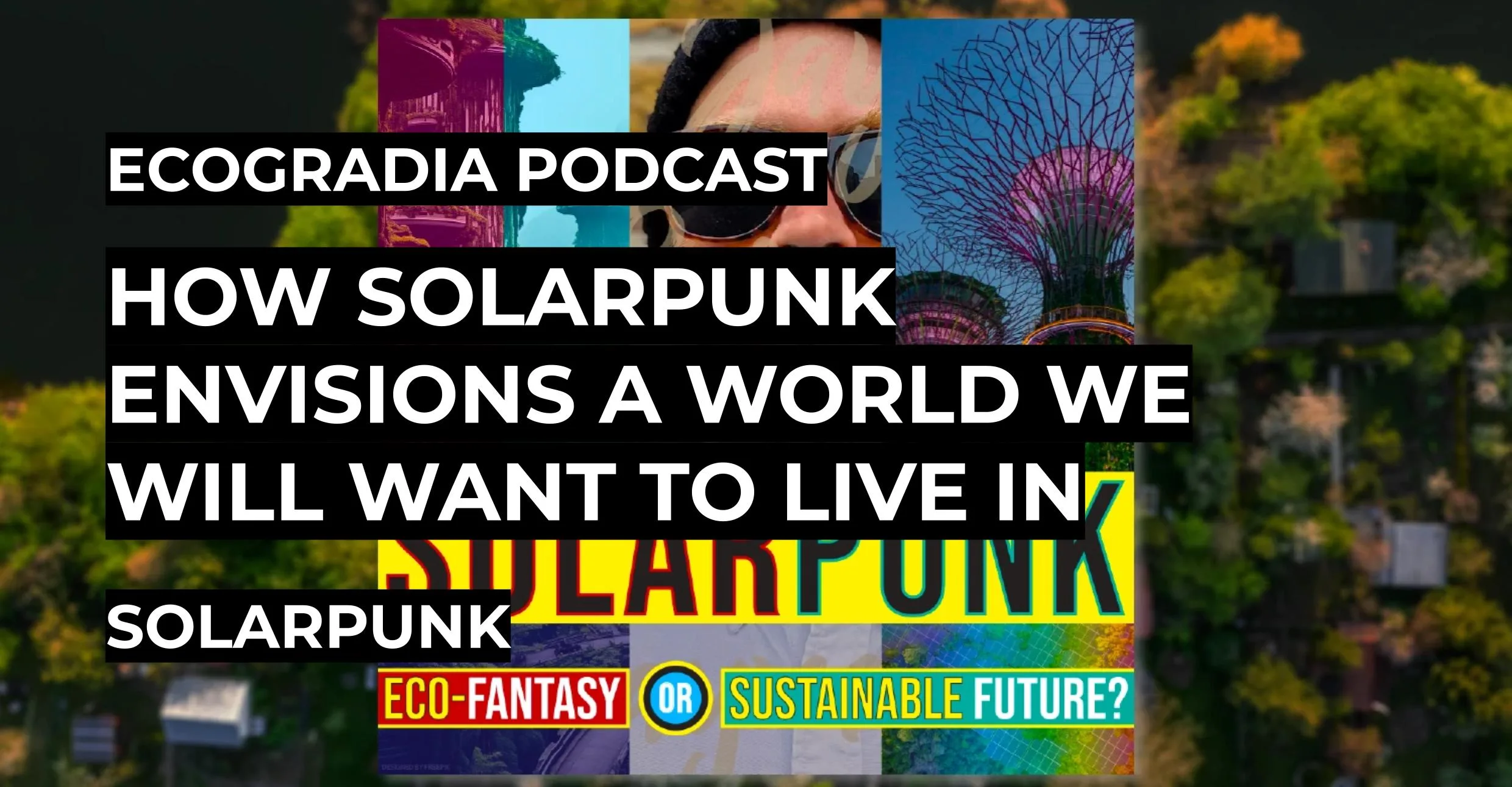 How Solarpunk Envisions A World We Will Want To Live In | Ecogradia