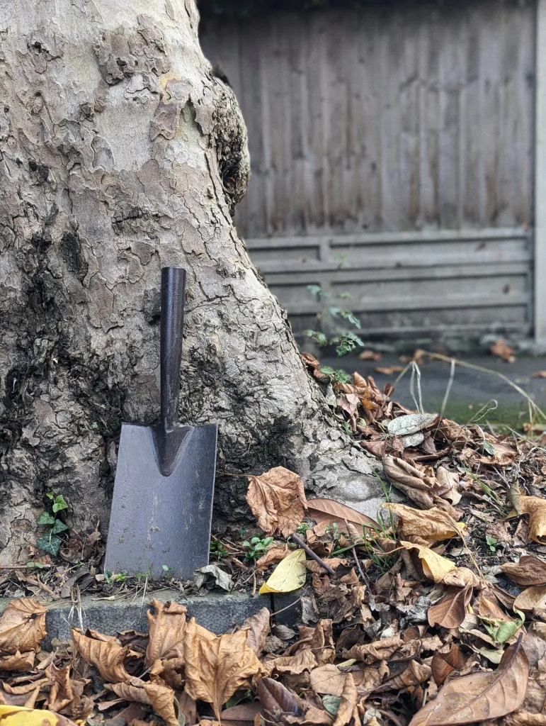 A metal spade head leaning against the textured bark of a tree, surrounded by dry autumn leaves on the ground.
