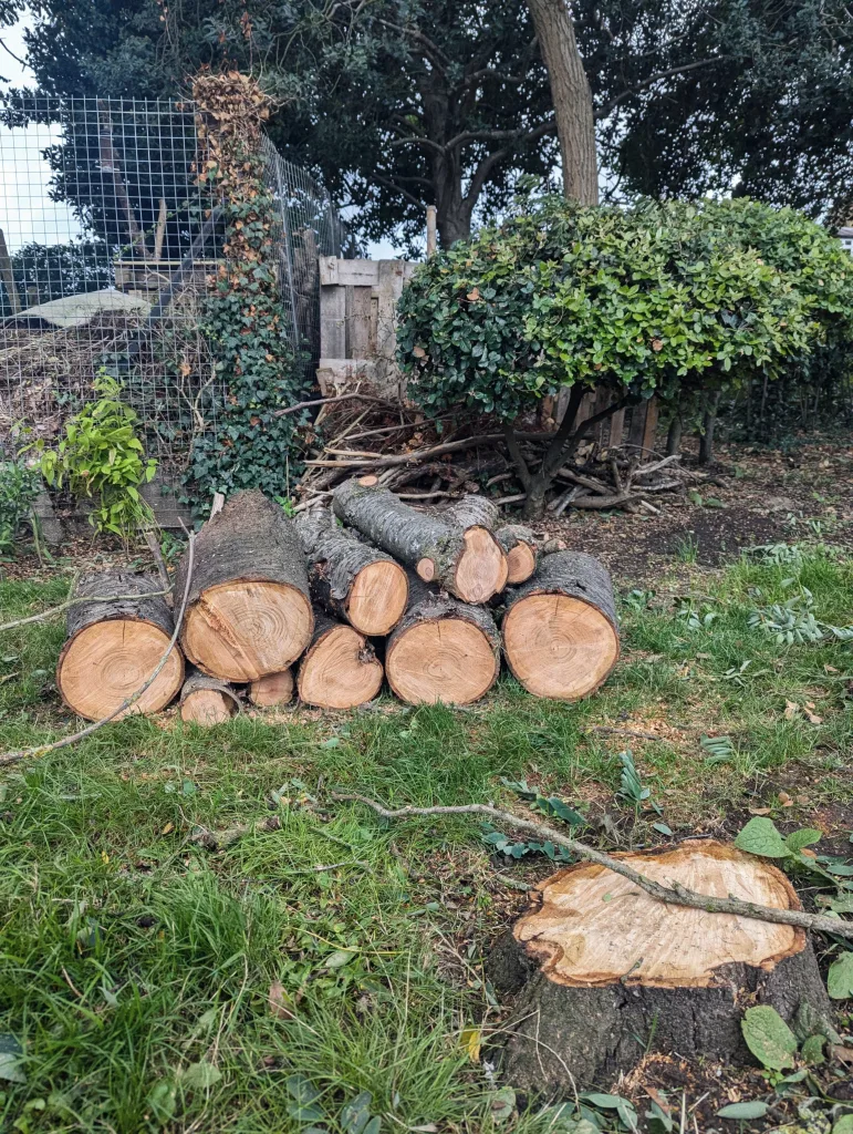 Freshly cut logs stacked on a grassy lawn next to a tree stump, with a wire fence and green bushes in the background.
