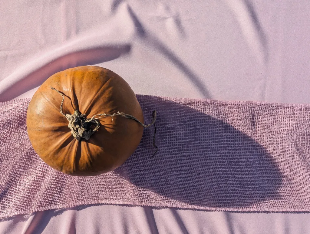 An orange pumpkin resting on a pink mesh runner over pink fabric, casting a long shadow in bright sunlight.