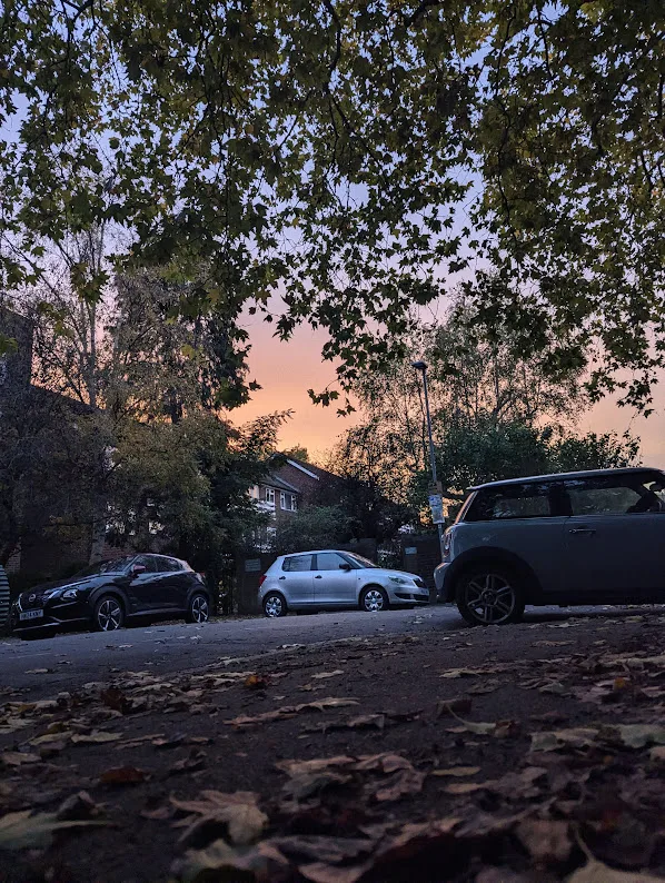 Silhouetted tree branches frame a glowing orange sunset over a residential street with parked cars and fallen autumn leaves on the ground.