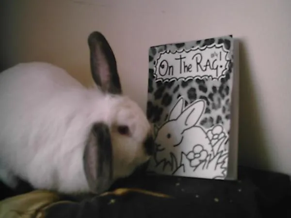 Margate's On The Rag Zine - A white rabbit sniffing a copy of the On The RAG! #1 zine featuring a cartoon rabbit on the cover.