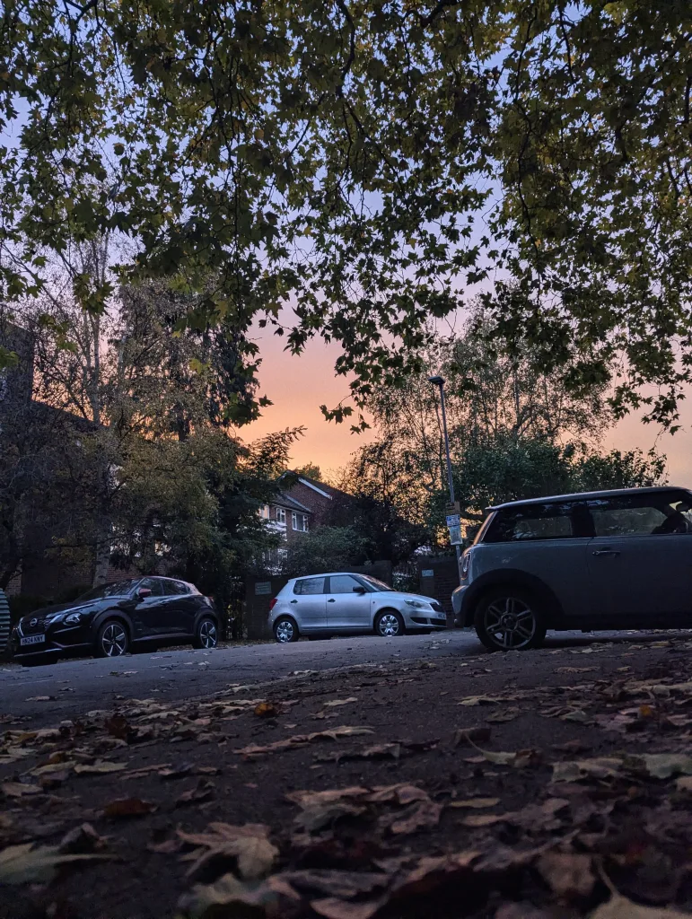 Silhouetted maple leaves frame a pink and orange twilight sky over a street with parked cars and fallen leaves on the ground.
