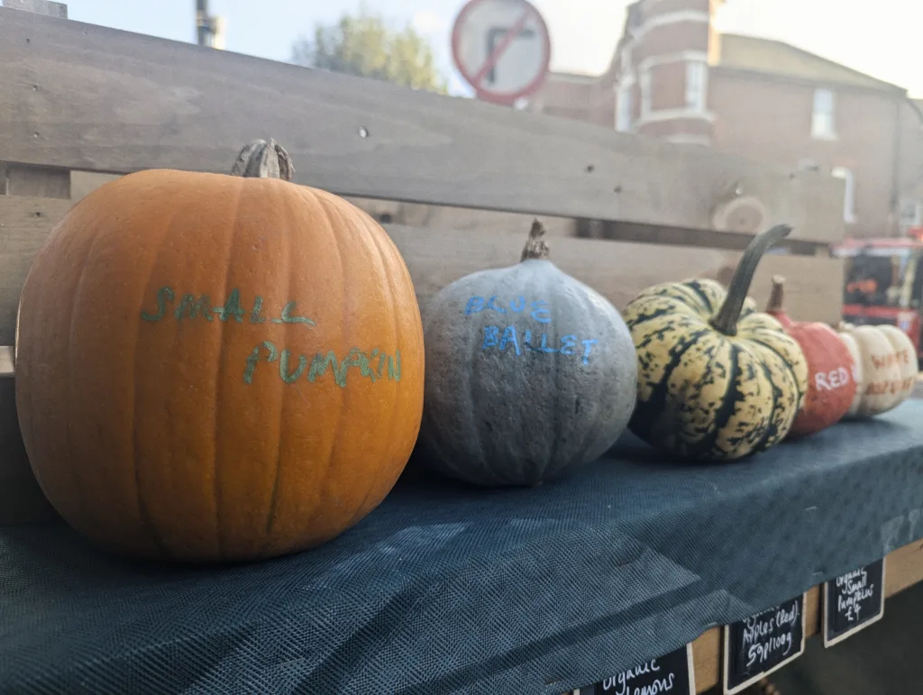 A row of pumpkins on a market shelf, featuring a large orange pumpkin labeled SMALL PUMPKIN and a grey pumpkin labeled BLUE BALLET.