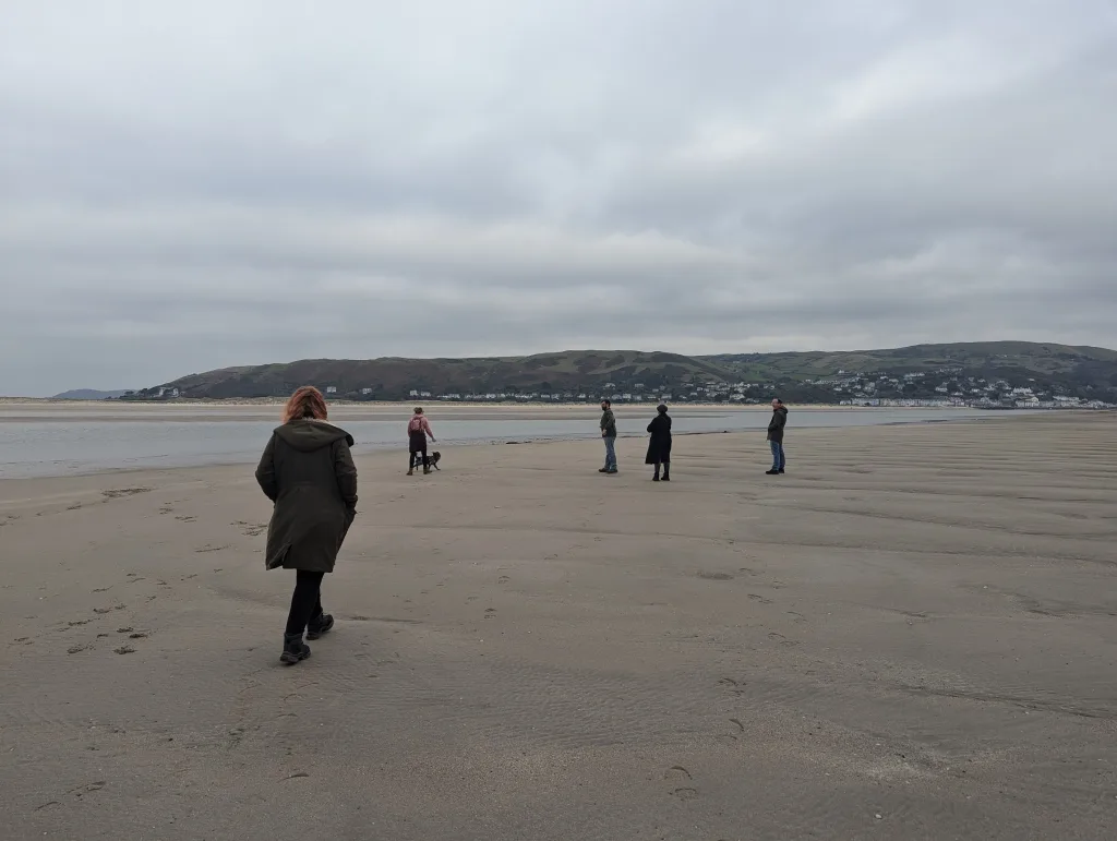 A group of people and a dog on a wide sandy beach at low tide, with coastal hills and houses under a grey overcast sky.