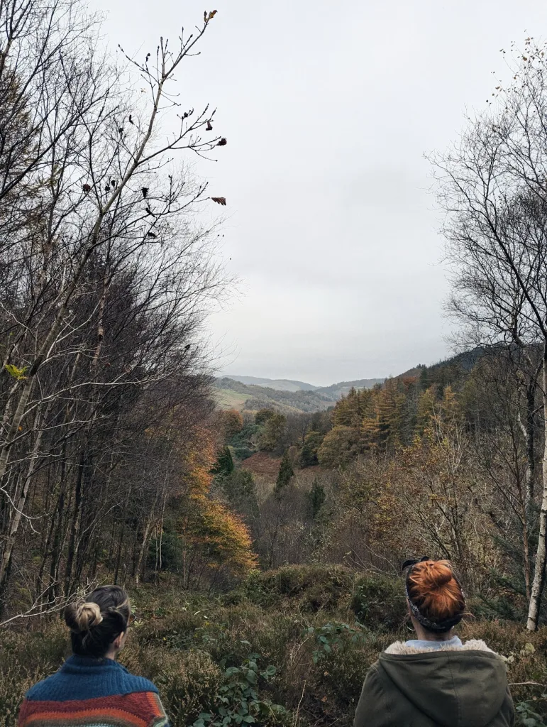 Two women look out over a deep autumnal valley filled with orange and yellow trees under a grey sky, framed by bare branches.