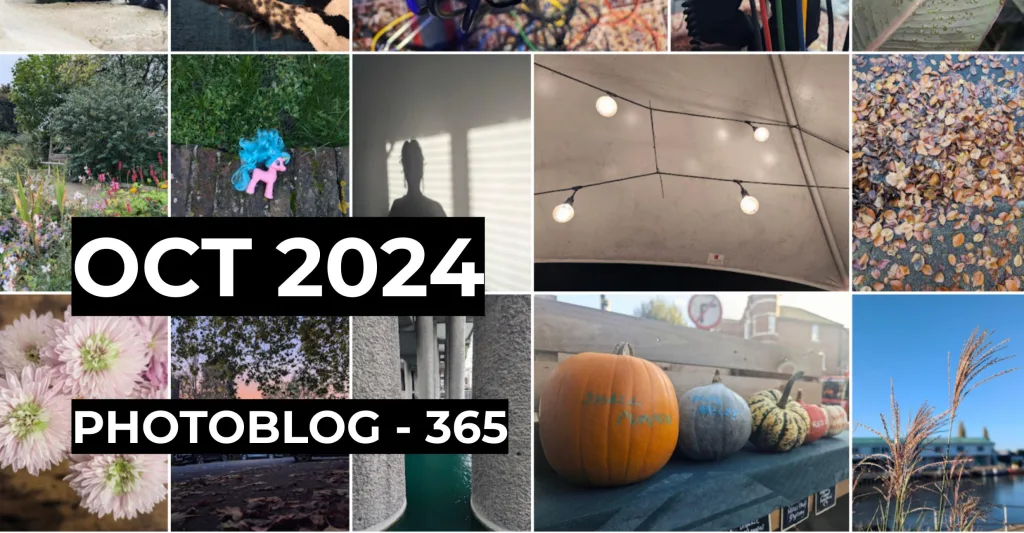 Featured image for October 2024 Photoblog - 365 - A grid collage of photos featuring pumpkins, autumn leaves, flowers, and string lights.