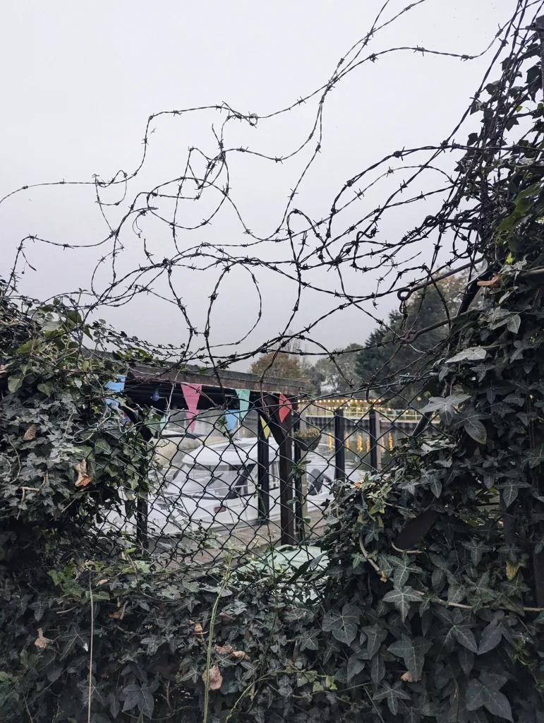Tangled loops of barbed wire and green ivy framing a view of a white boat at a dock with colourful bunting on a grey, overcast day.